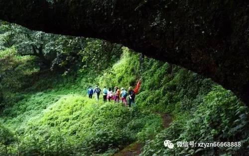 《白月梵星》第5，陈都灵、成毅新剧并列第一