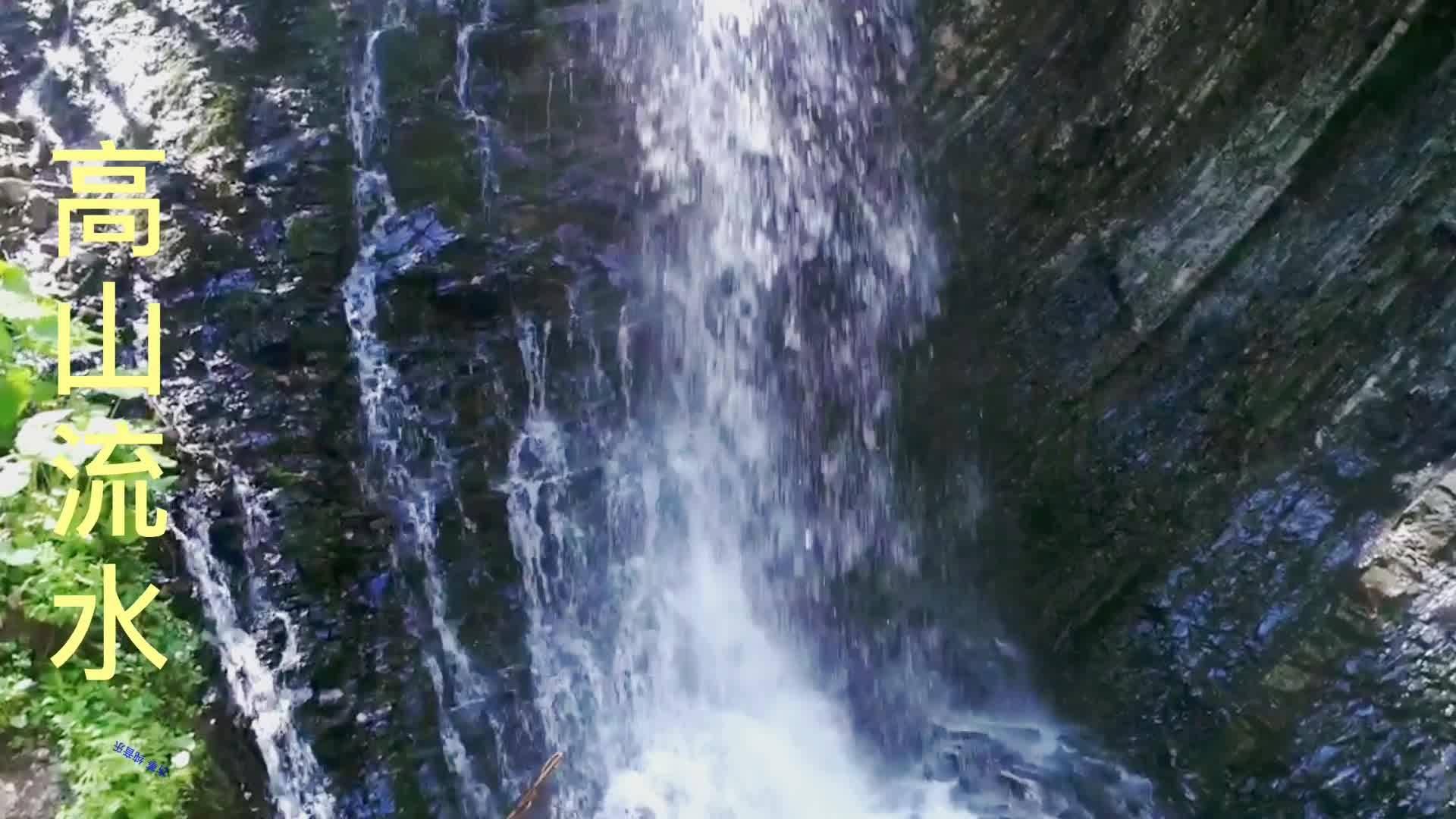 虫虫助手下载