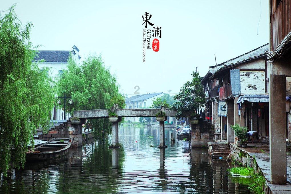 植物大战僵尸6